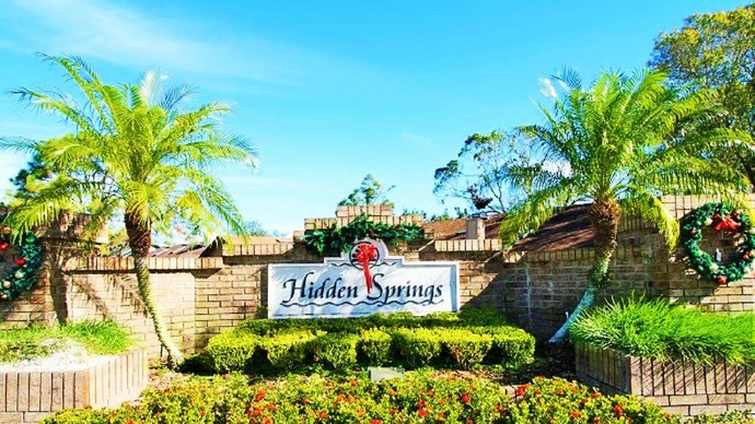 Hidden Springs in Orlando FL