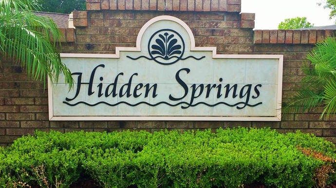 Hidden Springs Orlando FL Homes For Sale
