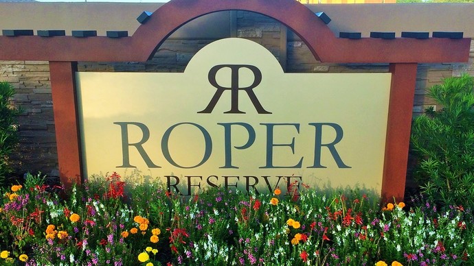 Roper Reserve Winter Garden Florida Homes For Sale