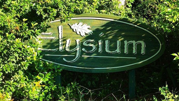 Elysium Club Mt Dora Fl Homes For Sale