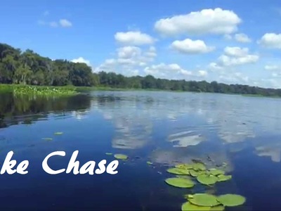 Lakefront Homes For Sale on Lake Chase in Windermere Florida