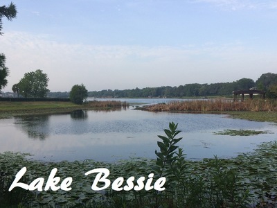 Lakefront Homes For Sale on Lake Bessie in Windermere Florida