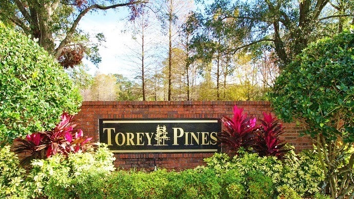 Torey Pines In Orlando FL