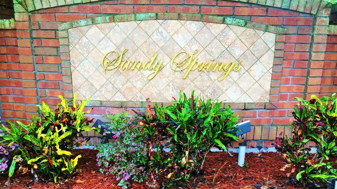 homes for sale in cypress springs orlando