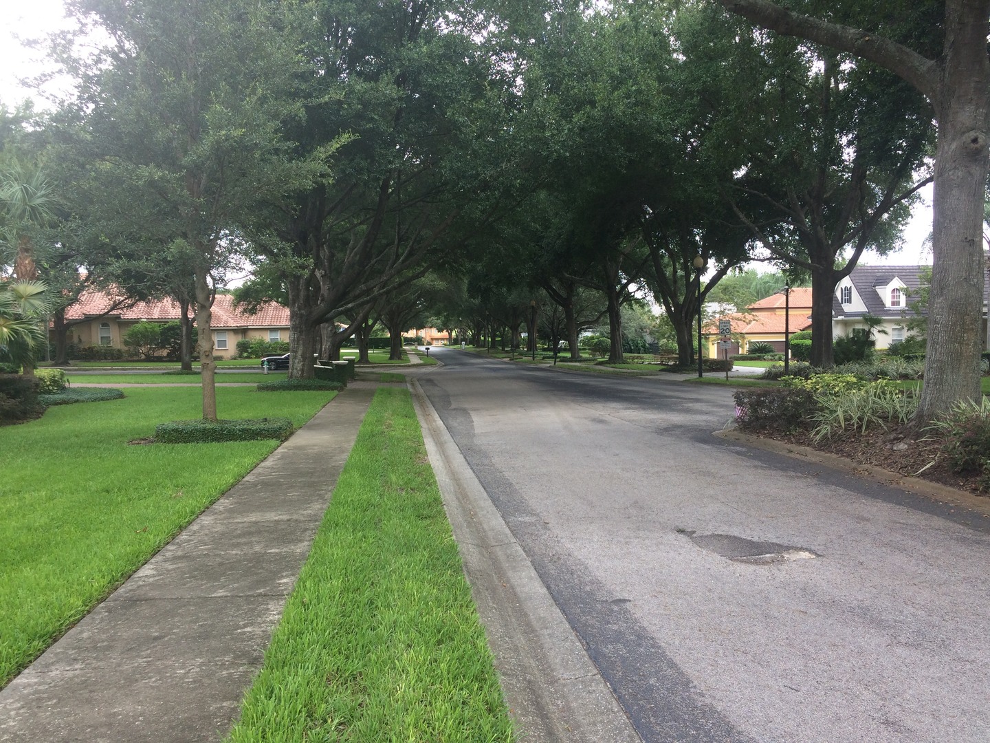 Homes For SaleWindermere Reserve