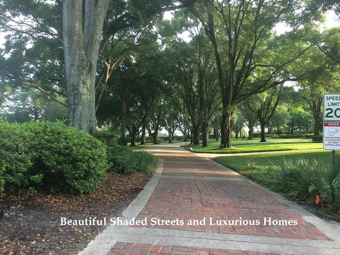 Windermere OaksHomes For Sale