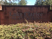 Lake Clarice Plantation in Windermere FL