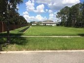 Lake Clarice Plantation Homes For Sale|Windermere FL