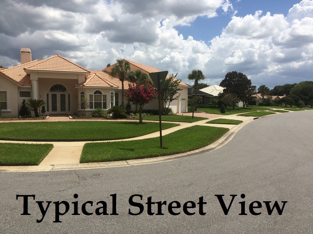 Woodbridge On The Green Winter Garden FlHomes For Sale