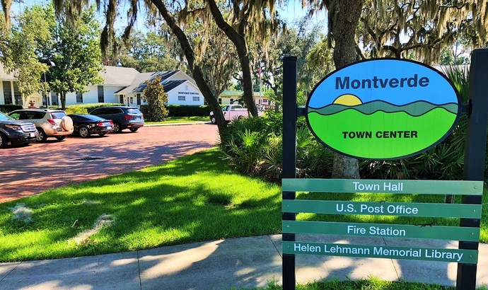 Montverde Florida Homes For Sale