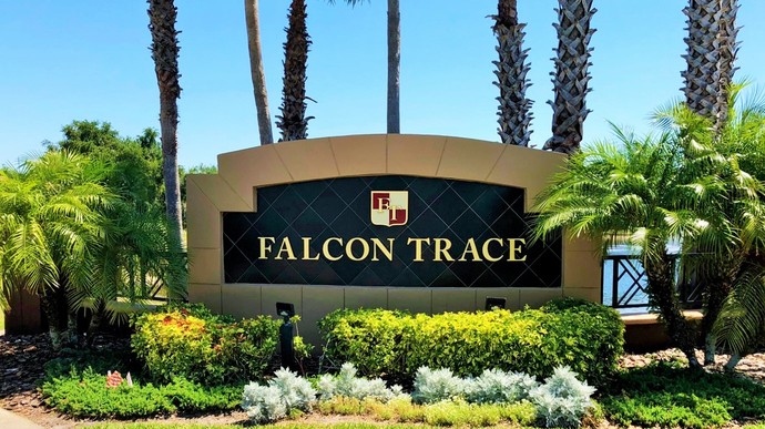 Falcon Trace Orlando FL Homes For Sale