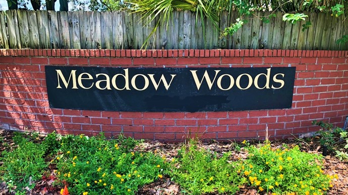 Meadow Woods Orlando FL-Homes For Sale