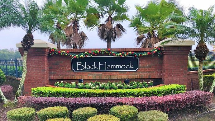 Black Hammock Oviedo FL Homes For Sale