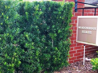 Meadowridge Estates Longwood Fl Homes For Sale