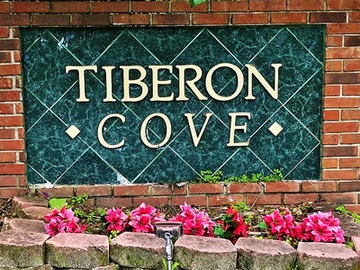 Tiberon Cove Longwood Fl Homes For Sale