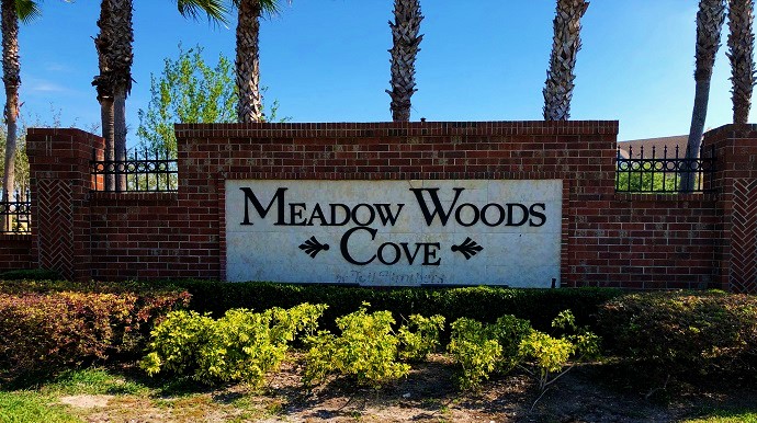 Meadow Woods Cove Townhomes Kissimmee Fl