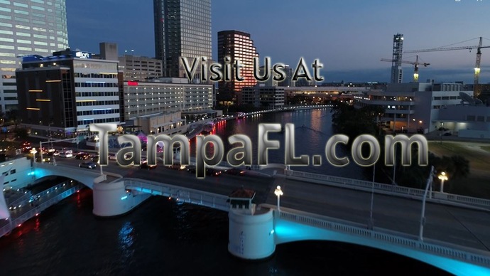 Waterfront Homes For Sale in South Tampa